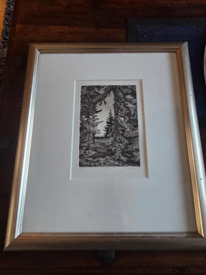 Inramad konstgrafik med skogsmotiv - Säljer en inramad konstgrafik med svartvitt skogsmotiv, där granar ramar in en vy mot ett öppet landskap. Tavlan har en bred vit passepartout och en ram i silverfärg. Perfekt för dig som gillar naturmotiv och stilren inredning.