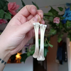 Ben örhängen  - Guld-örhängen från kyckling. Kan fraktas med brev för 20 kr eller PostNord för 45 kr. 