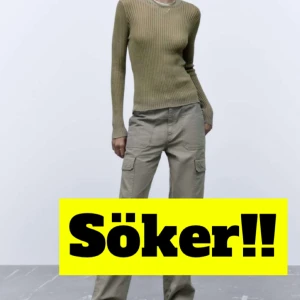 Zara topp - Söker!! Genomskinlig Zara topp i vit, grön eller blå i S kan betala bra. Kontakta om du säljer!!💗