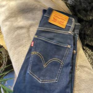 Säljer ett par Levis jeans i modellen ”Mile high super skinny” storlek w23 l32 🥰 Väldigt fint skick och inte mycket använda, dock en lite söm som gått upp på fickan som man ser på bilden! Nypris var 1099kr och säljer för 240 kr 💗