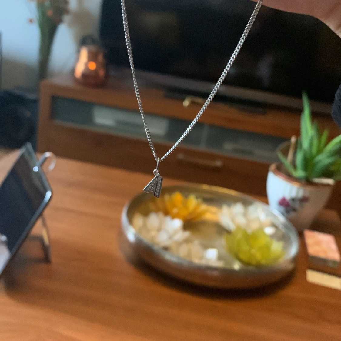 Silverhalsband  - 91