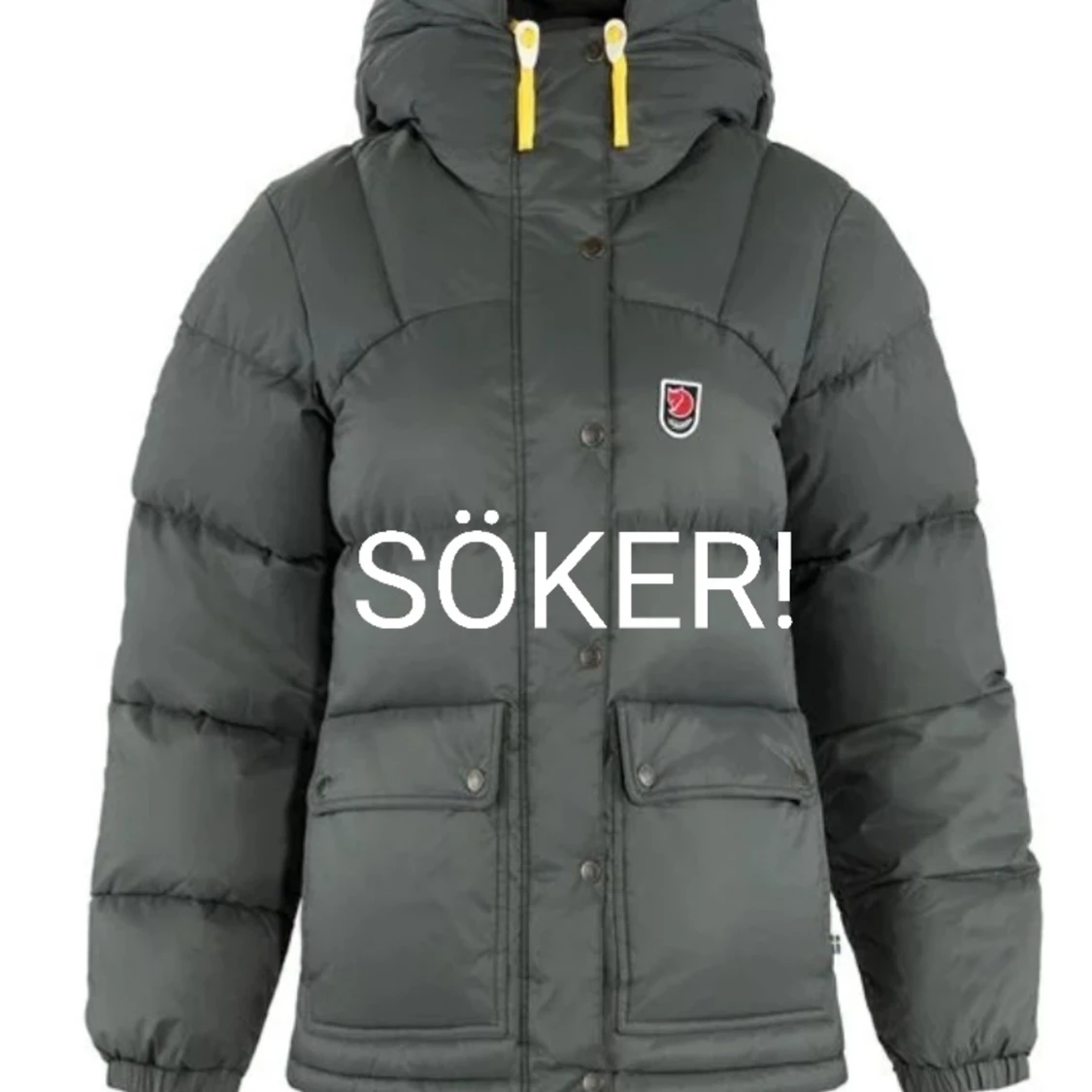SÖKER FJÄLLRÄVEN EXPEDITION 