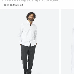 These glory days Nypris 899 - T Dino OXFORD 100% bommul. Large SLIMFIT   Nypris 899 i butik