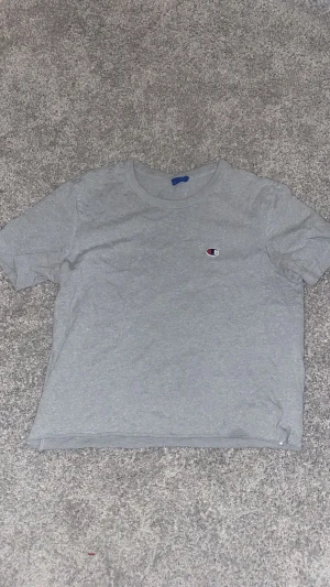 T-shirt  - Grå T-Shirt från champion, magtröja, bra skick
