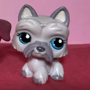 Littlest Pet Shop Scottie #1201 - Äkta och i mycket bra skick, skriv gärna för fler bilder! kolla gärna mina andra annonser då jag kan skicka dom i samma paket, frakten kan öka från 15kr till 30kr om det överstiger 100gram vid samfrakt