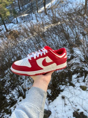 Nike Dunk Low USC - Helt Nya! 42 EU