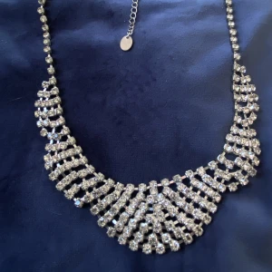 Halsband strass - Ett vackert halsband med gnistrande strass