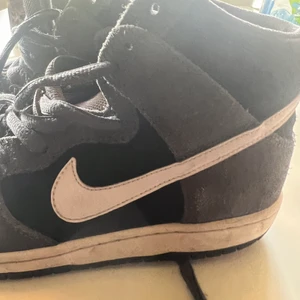 Nike Dunks - Använda Nike dunks i storlek 40