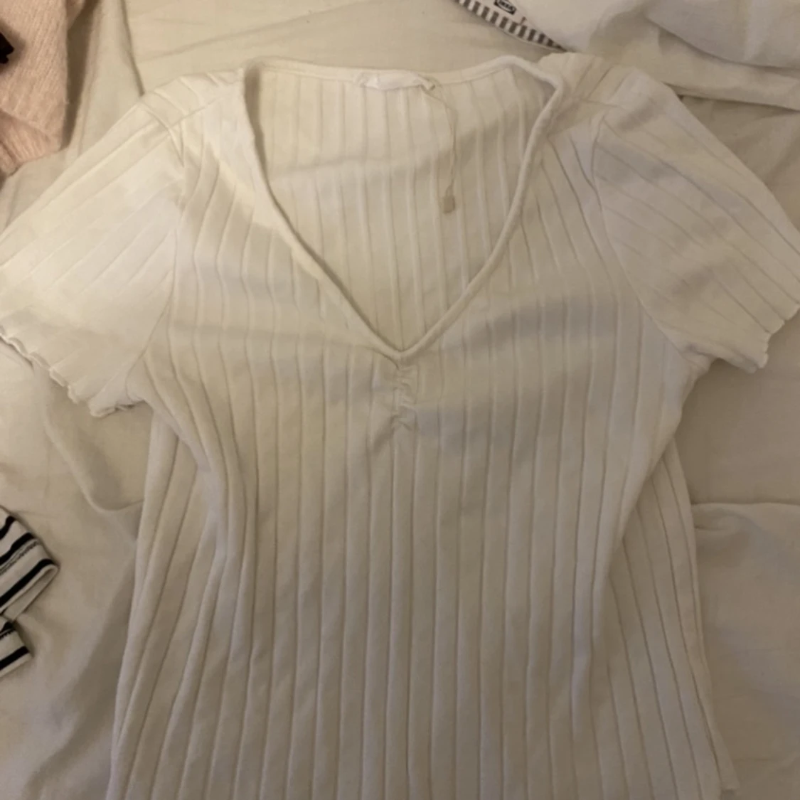 Toppar från mango  - 90