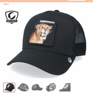 Sabertooth keps - Andvönd typ 2-3 gånger och endast hemma så kepsen är i nyskick. köpte för 399 på hatstore. Skriv privat för fler bilder.