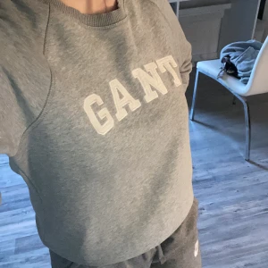 Gant tröja - Grå gant tröja i storlek s 