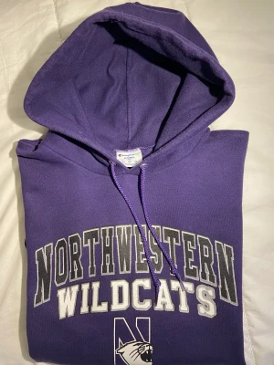 Champion hoodie  - Good condition 🌸