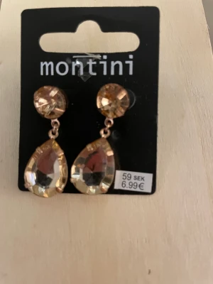 Örhängen montini - Helt nya örhängen inköpta för 60kr som present men inte rätt stil så jag säljer de vidare för 29kr. Som sagt helt nya och har inte ens tagits ur sin förpackning.