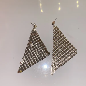 Örhöngen  - Ett par guldiga örhängen. Jag skulle nog tipsa om att ha dem på en fest men man kan jubla dem när man vill. Jag har använt dem få tal gånger