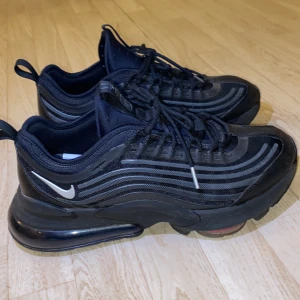 Nike Ari Max-strolek 43-44 - Nike Ari Max 95, storleken är 43-44. Skorna är från året 2020 och dessa skor är knappt advända och futfarande är i bra skick! Original pris på skorna är 2000kr men säljer för 1300kr💚Frakt kan vi diskutera i dm 💕