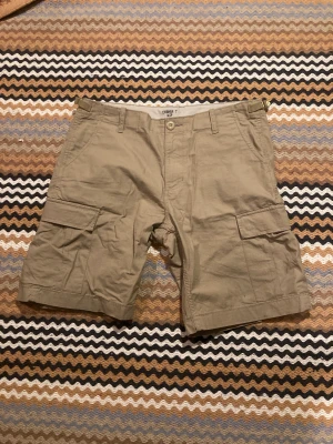 Carhartt WIP Regular Cargo Short - Lite färg men annars bra skick  