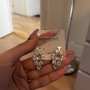 Silvriga glitterörhängen - Bra skick 