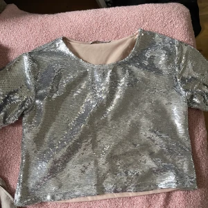 Paljettopp - Topp med silverpaljetter. Lite croppad i passform! 