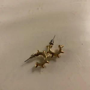 Ur Penn  - Ett par örhängen som inte har använt mycket!