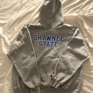 Vintage college champion hoodie - Fin vintage college hoodie i väldigt bra skick