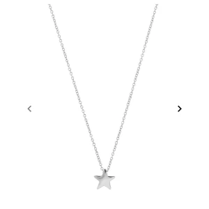 Stjärnhalsband Edblad  - Säljer mitt väldig fina stjärnhalsband ifrån Edblad då det inte kommit till användning!💓 använt ett fåtal gånger, i väldigt bra skick💓