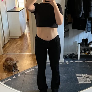 Lågmidjade bootcut jeans - Snygga och sköna lågmidjade bootcut jeans! I nyskick då dem bara legat i garderoben! Storlek 36! Priset kan diskuteras! Köparen står för frakten eller mötas i Uppsala❣️