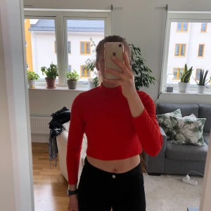 Ribbad polotröja - Klarröd polotröja som drar åt det orangea hållet. Långärmad och kort i magen. Köpt på second hand för ca 2 år sedan. Ytterst lite nopprig, men annars fint skick