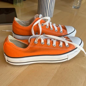 Låga orangea converse  - Låga orangea converse i strl. 37. Aldrig använda! 
