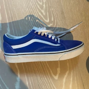 Vans skor - Tja säljer mina vans skor i stl 42 i en unik snygg färg!