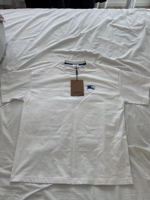 Tshirt  - Säljer åt en vän, storlek S men passar M och typ L alltså stor i storleken, priset kan diskuteras kom privat för frågor och bilder.
