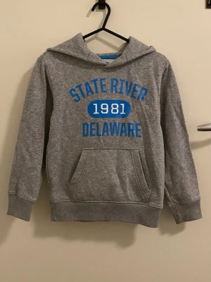 Grå hoodie med blå text 1981 - Grå hoodie med huva och magficka. Tryck i blått och vitt framtill med texten 'STATE RIVER 1981 DELAWARE'. Mjuk bomullskänsla och ribbade muddar vid ärmar och nederkant. Perfekt för en avslappnad och sportig stil.