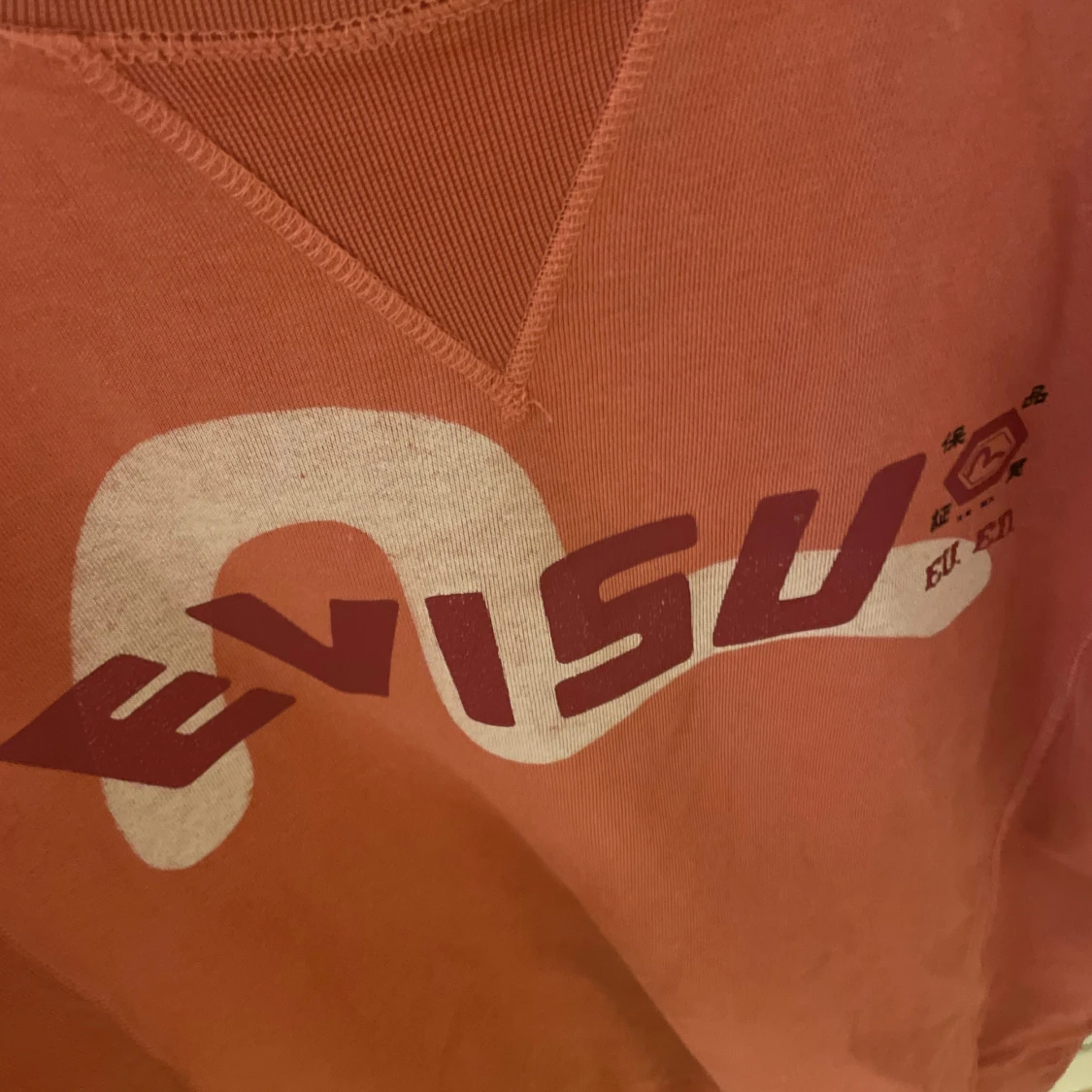 Evisu sweatshirt tjocktröja hoodie  - 93