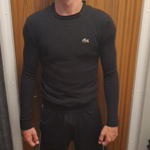 Lacoste stickad tröja - Stickad lacoste. Skicket är sådär och lappen saknas, därför så lågt pris