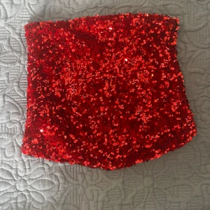 Fin paljett topp! - Superfin paljett topp som endast är använd en gång. 