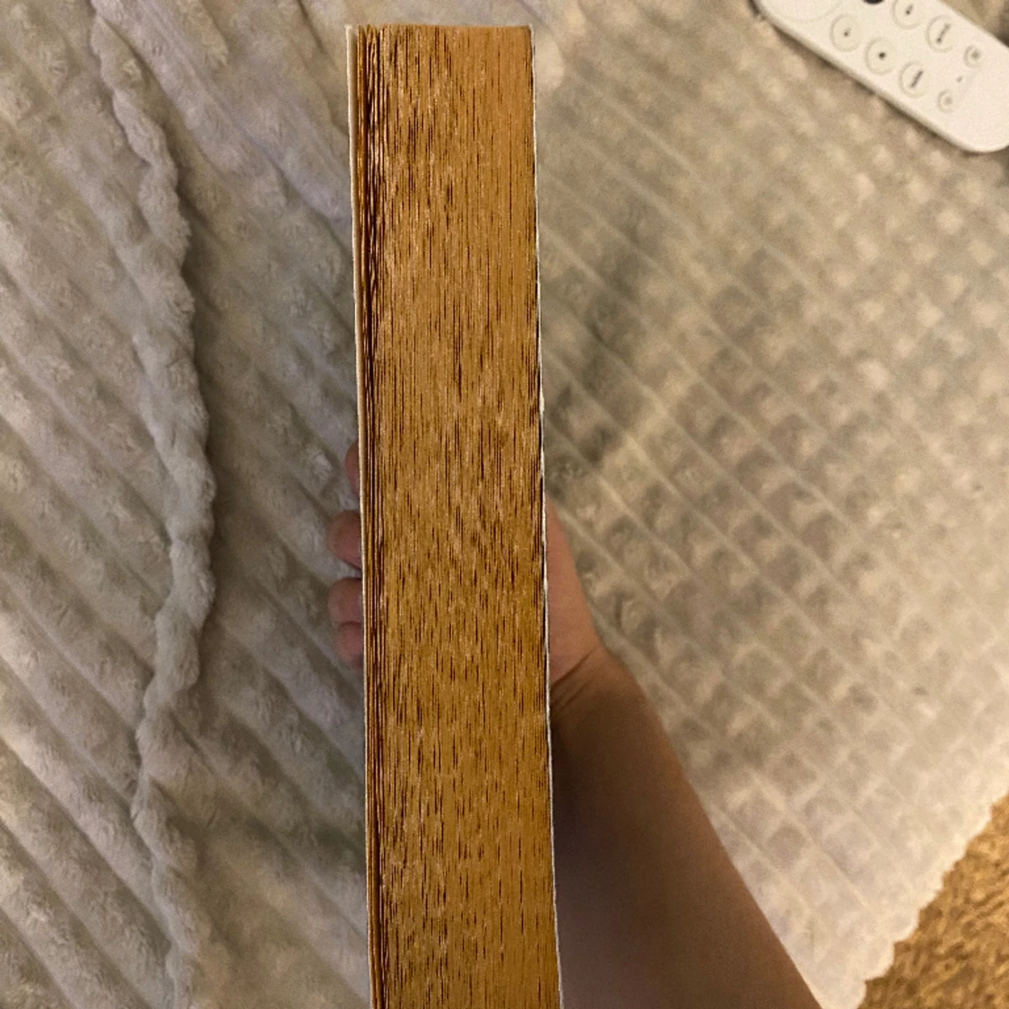 Reebot av Amy Tintera - 91