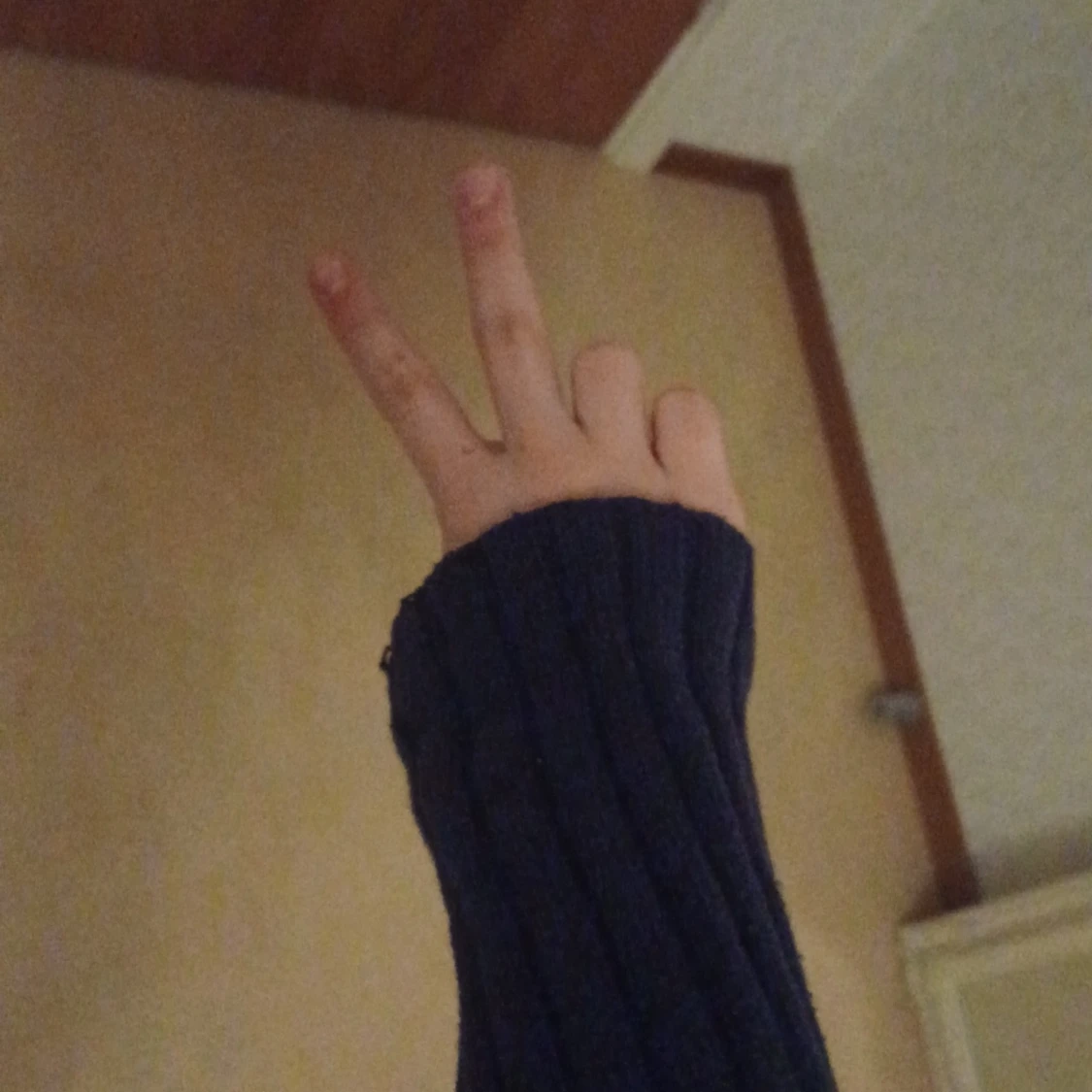 Mörkblå sweater - 91