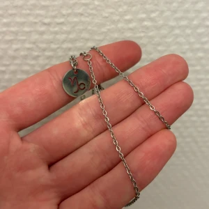 Capricorn halsband - Rostfritt stål jätte fin