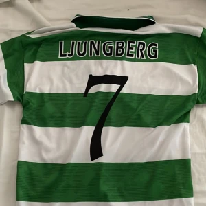 Ljungberg tröja - Tröjan är i barn storlek men perfekt för inramning!