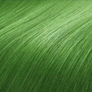 Helt ny semipermanent hårfärg / toning i en starkt grön färg, - Ny med plast kvar - Vegansk - Ej djurtestad - Peta approved - Nypris 199kr