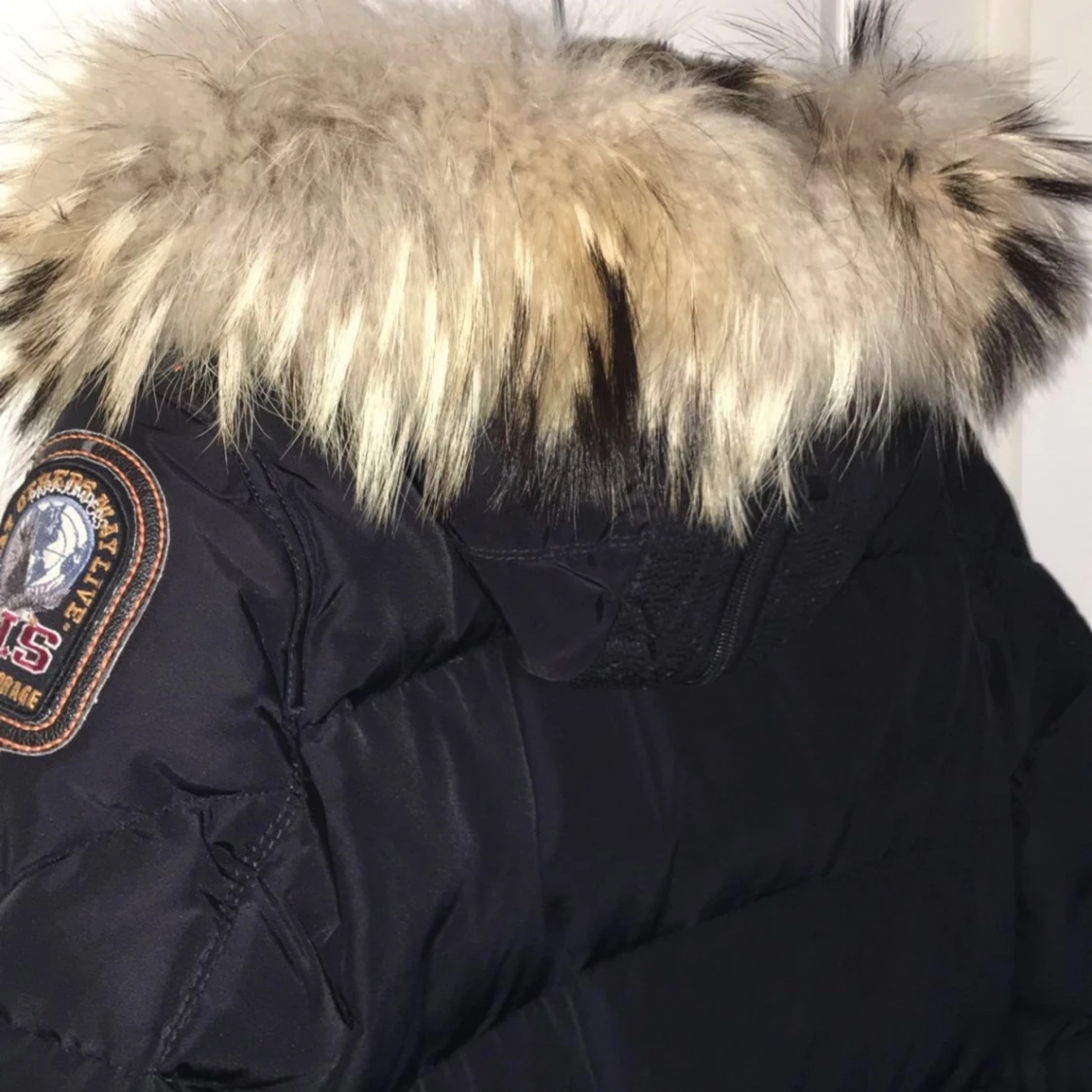 Parajumper longbear - 92