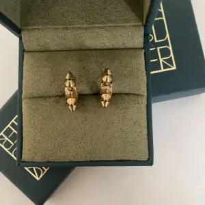 ( lånad bild) Säljer dessa guldiga Edblad örhängen då de tyvär inte kommer till användning längre. Vid eventuella frågor eller funderingar kom privat 💓