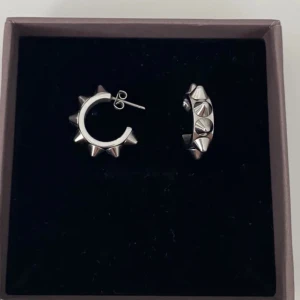 Edblad örhängen med nitar - Jättefina örhängen i perfekt skick som tyvärr inte kommer till användning då jag bara bär guld men dem köptes när jag bar silver 