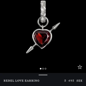 Jättefint Maria örhänge ❤️ - Säljer mitt fina fina slutsålda Maria örhänge då det inye kommer till användning. Nypris är 5500kr och jag säljer för 4000. Man får såklart låda med!!❤️ pris kan diskuteras 