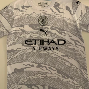 Haaland Man city Limted Edition tröja - Storlek L Replika Helt ny och oanvänd  