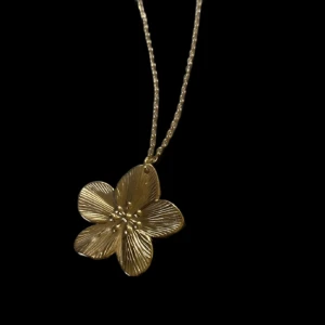 🥰🥰 - Rostfritt halsband som är ca 45 cm långt det går att välja själv de är justerbar😀