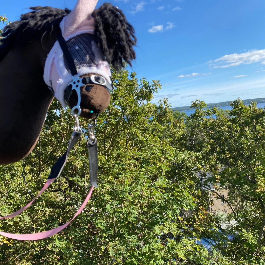 Fin käpphäst  - 90