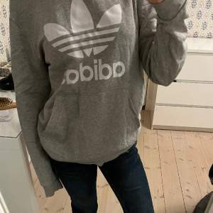 Grå hoodie i fint skick. Passar perfekt som tränings tröja! Sitter lite oversized på mig, jag har vanligtvis storlek xs/s. Köparen står för frakt💗