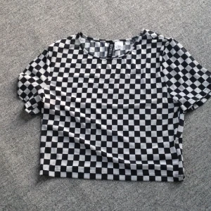 Rutig mesh top - Rutig mesh top från e-girl eran ca 2019. Från hm, inte så genomskinlig men håller på att tappa lite resåren i ena armhålan men jag tror inte det syns så mycket när man väl har på den.  