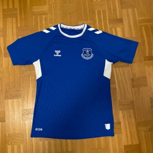 Everton hemmatröja 22/23 - Evertons hemmatröja från säsongen 2022/23.  Utan Stake sponsor, nästan helt ny skick.