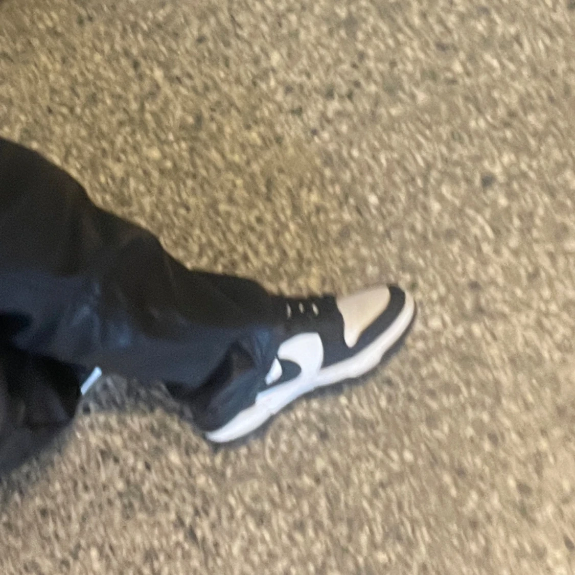 Panda dunks skor - 91